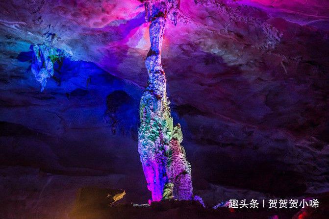 逗小猴开心系列192